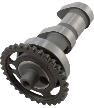 CAM SUZUKIRMZ450 2267-1E