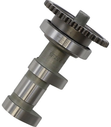 CAM SUZUKIRMZ450 2269-2E