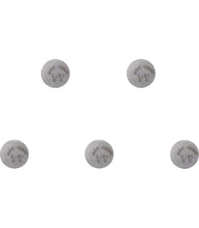 VALVE SHIM 5PK 13X1.85