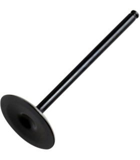VALVE INTAKE STEEL