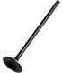 VALVE INTAKE STEEL