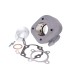 CYLINDER KIT MINARELLI AC ALUM