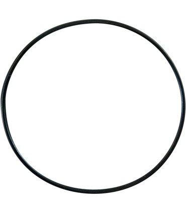 REPLCMNT O-RING 0940-0464