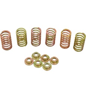 CLUTCH SPRING KIT