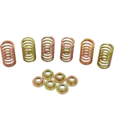 CLUTCH SPRING KIT