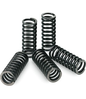 CLUTCH SPRINGS KXF/RMZ250