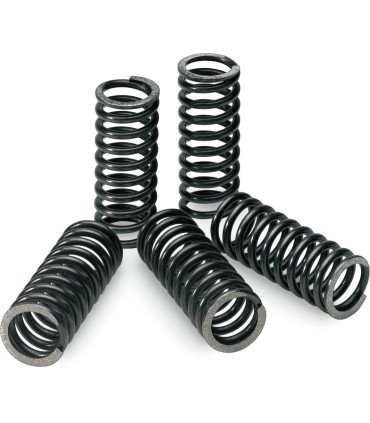 CLUTCH SPRINGS KXF/RMZ250
