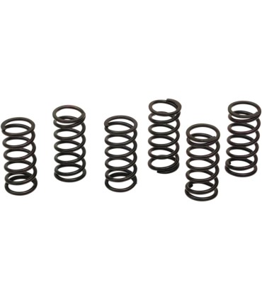 CLUTCH SPRING KIT KAW