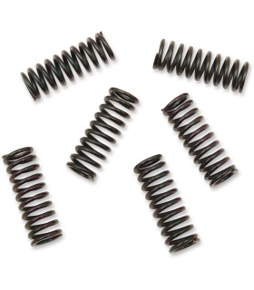 CLUTCH SPRING KIT YAM