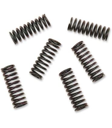 CLUTCH SPRING KIT YAM