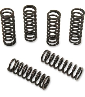 CLUTCH SPRING KIT HON