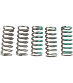 SPRINGS CLUTCH KX450F