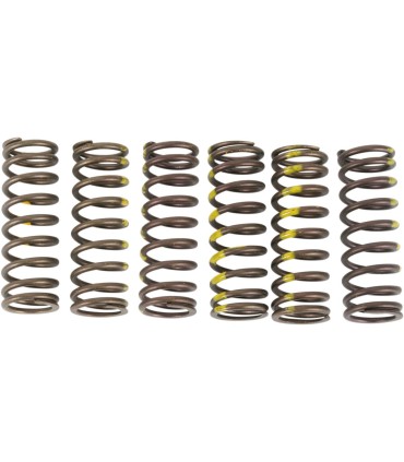 SPRINGS CLUTCH RMZ450