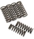 CLUTCH SPRING SET SUZ