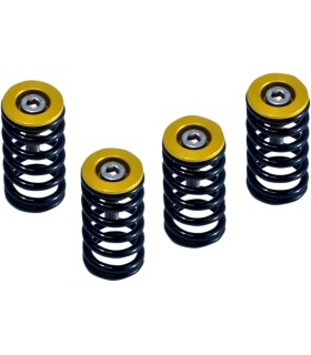 CLUTCH SPRG W/GOLD DUCATI