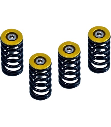 CLUTCH SPRG W/GOLD DUCATI