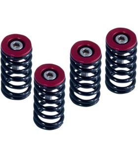 CLUTCH SPRG W/RED DUCATI