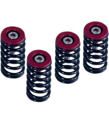 CLUTCH SPRG W/RED DUCATI