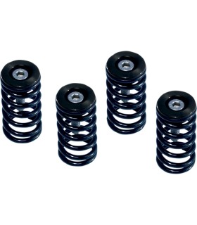 CLUTCH SPRG W/BLK DUCATI