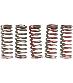 SPRINGS CLUTCH CRF250R
