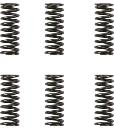 CLUTCH SPRING KIT DUCATI