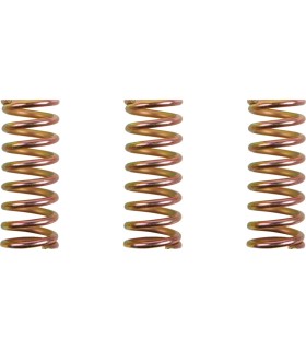 CLUTCH SPRING KIT DUCATI