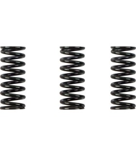 CLUTCH SPRING KIT DUCATI