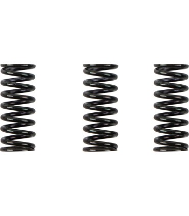 CLUTCH SPRING KIT DUCATI