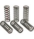 CLUTCH SPRINGS CRF450R