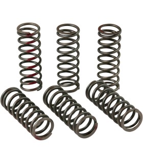 CLUTCH SPRINGS CRF450R