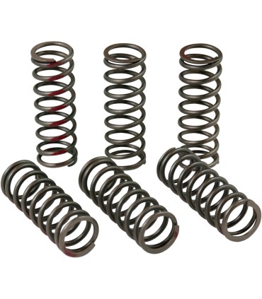 CLUTCH SPRINGS CRF450R