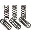 CLUTCH SPRINGS CRF450R