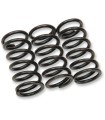 CLUTCH SPRING KAW