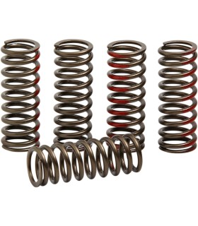 SPRINGS CLUTCH CRF250R