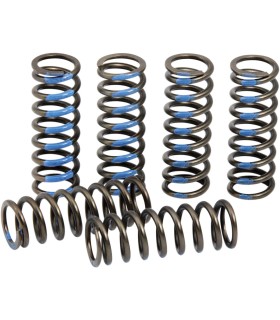 SPRINGS CLUTCH YZ250F