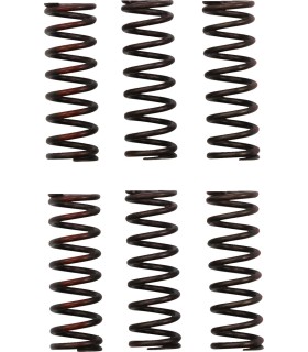 CLUTCH SPRING CRF450R
