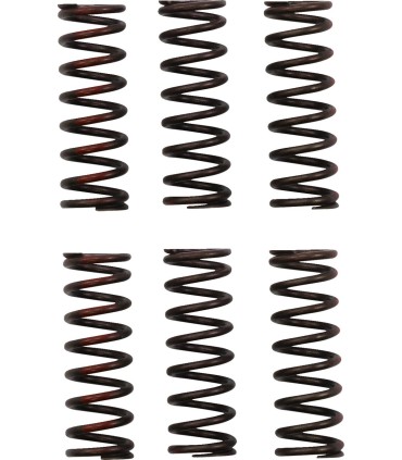 CLUTCH SPRING CRF450R
