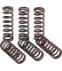 CLUTCH SPRING CRF450R