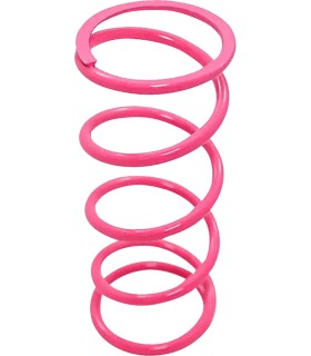 SPRING CLUTCH PRIMARY CAN AM X