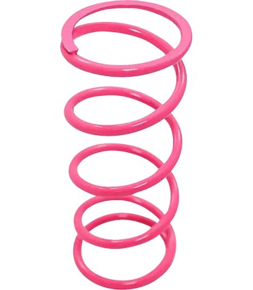 SPRING CLUTCH PRIMARY CAN AM X