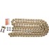 CHAIN RK530XSOZ1 GG 108R