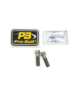 BOLT KT RE-BRAKE MOUNT TIT RC