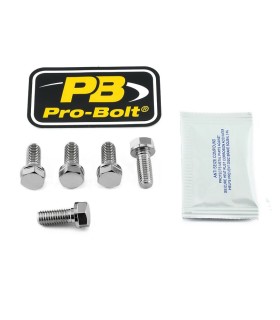 BOLT KIT BRAKE DISC SS M8X20