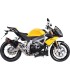 MUFFLER TI/CF/CF RSV4