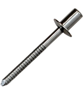 RIVET SS D4 8x8 CLEAR
