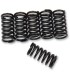 BARNETT CLUTCH SPRINGS