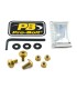 BOLT KIT LIC PLATE GOLD