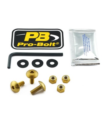 BOLT KIT LIC PLATE GOLD