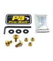 BOLT KIT LIC PLATE GOLD