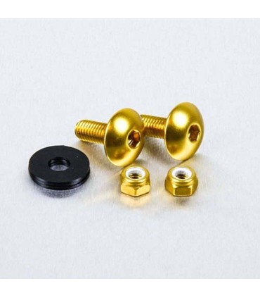 BOLT KIT LIC PLATE M6X16 GOLD